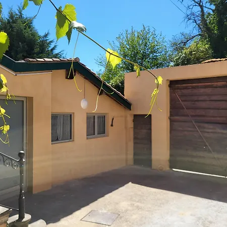 L'olivier Des Maraichers * Albigny-sur-Saone